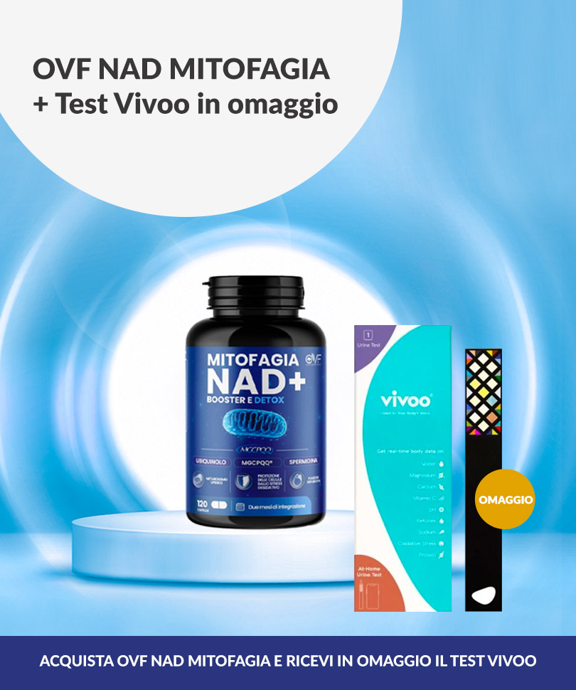 mitofagia