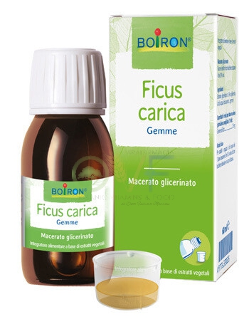 Boiron Ficus Carica Gemme