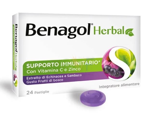 Reckitt Benckiser H.(it.) Benagol Herbal Frut Bos 24past