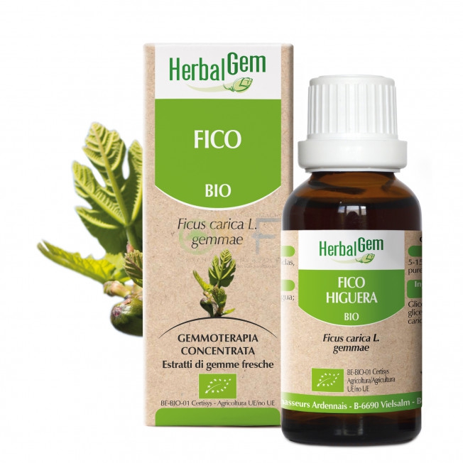 Herbalgem Italia Herbalgem Mg Bio Fico 50ml