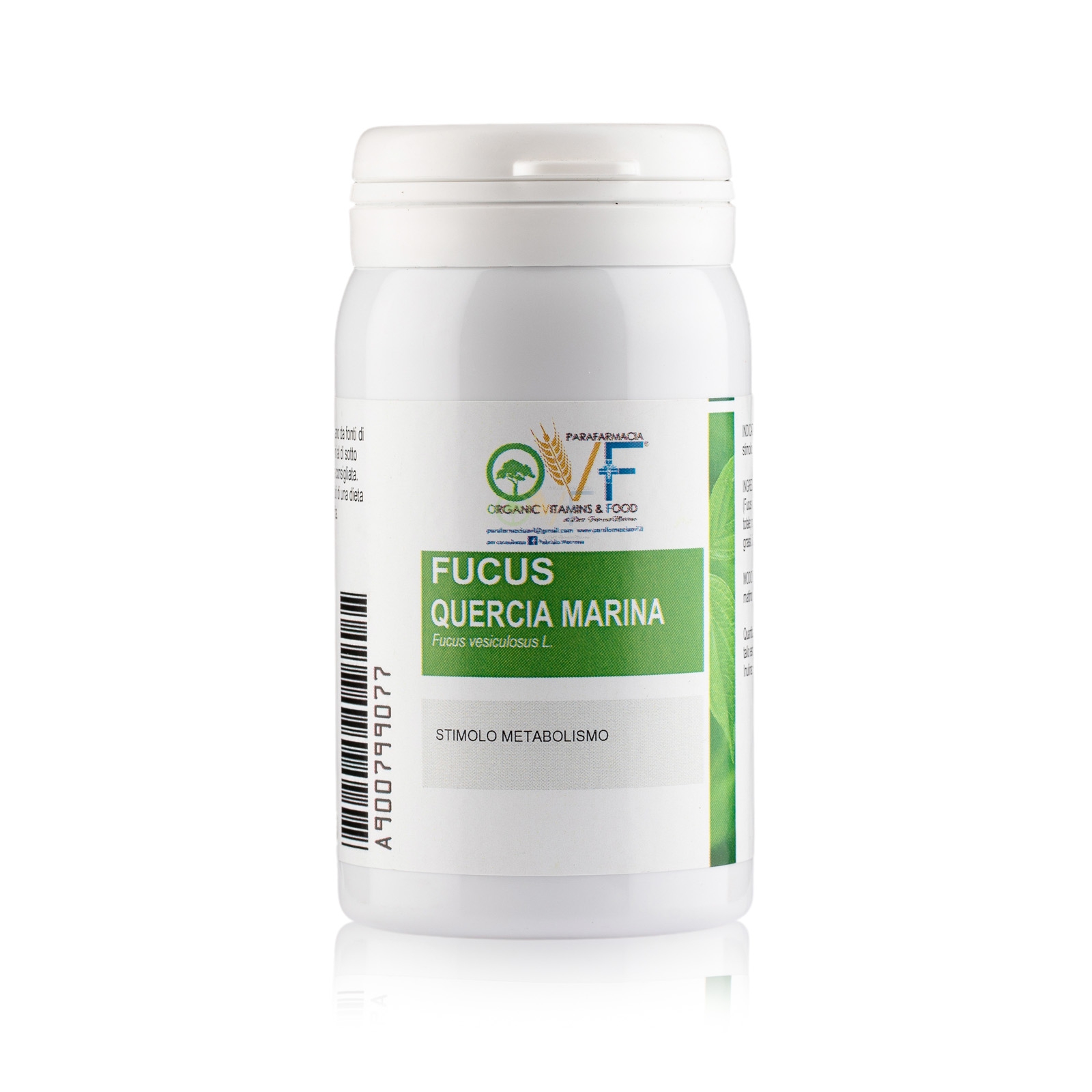 Ovf Fucus quercia marina