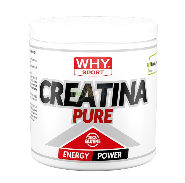 Whysport Creatina Pure 300g