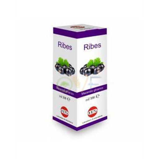 Oti Ribes Nigrum Mg10% Gocce 100ml